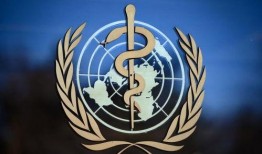 成都深夜爆料新闻最新疫情,最新疫情通报，多区域启动防控措施